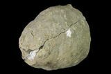 Keokuk Quartz Geode with Calcite Crystals - Iowa #144697-1